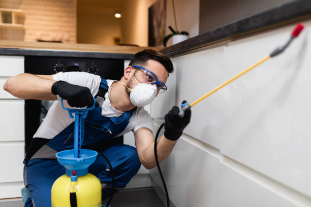 Best Cockroach Control Services  in Redway, CA