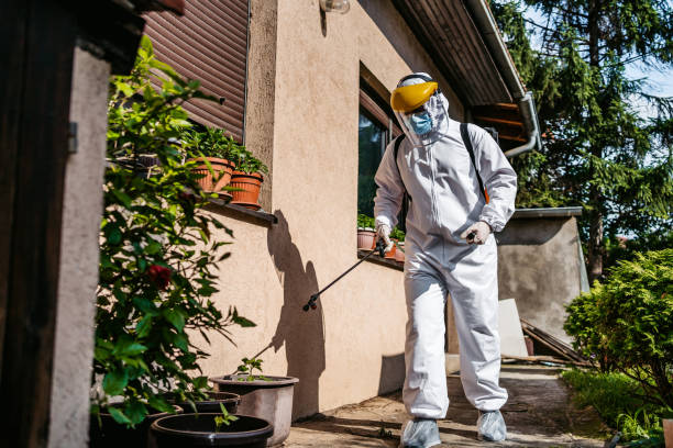 Best Residential Pest Control  in Redway, CA