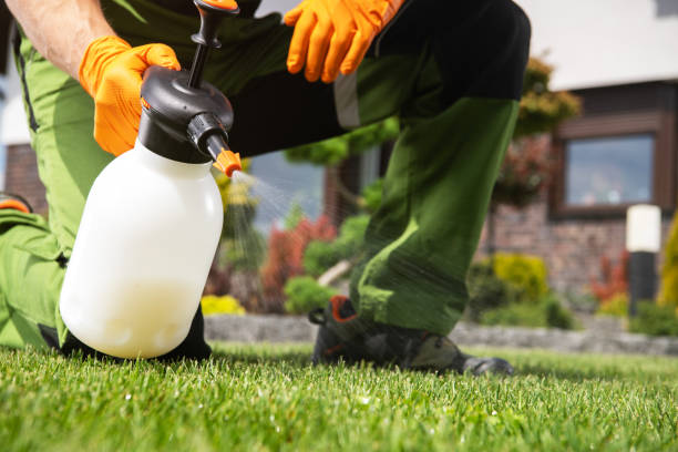 Trusted Redway, CA Pest Control Experts
