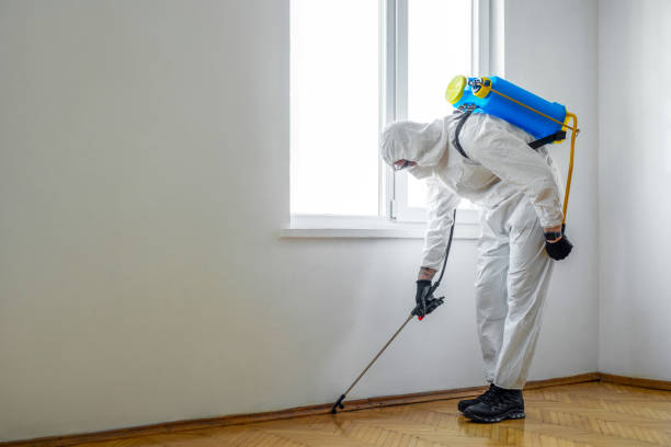 Best Bed Bug Extermination  in Redway, CA