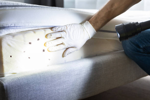 Best Exterminator Services  in Redway, CA