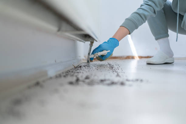 Best Emergency Pest Control  in Redway, CA