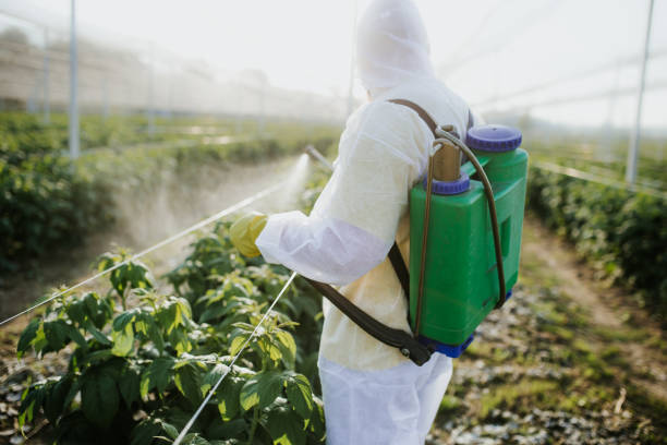 Pest Prevention Services in Redway, CA